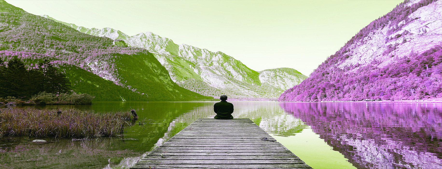 Mindfulness Therapy & Counselling header