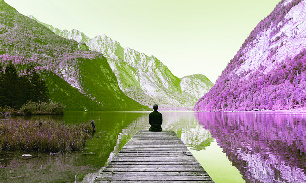 Mindfulness Therapy & Counselling