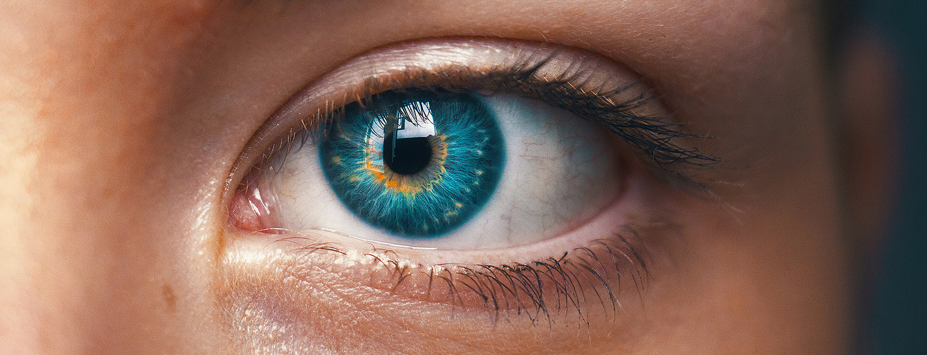 Eye Movement Desensitisation & Reprocessing EMDR header