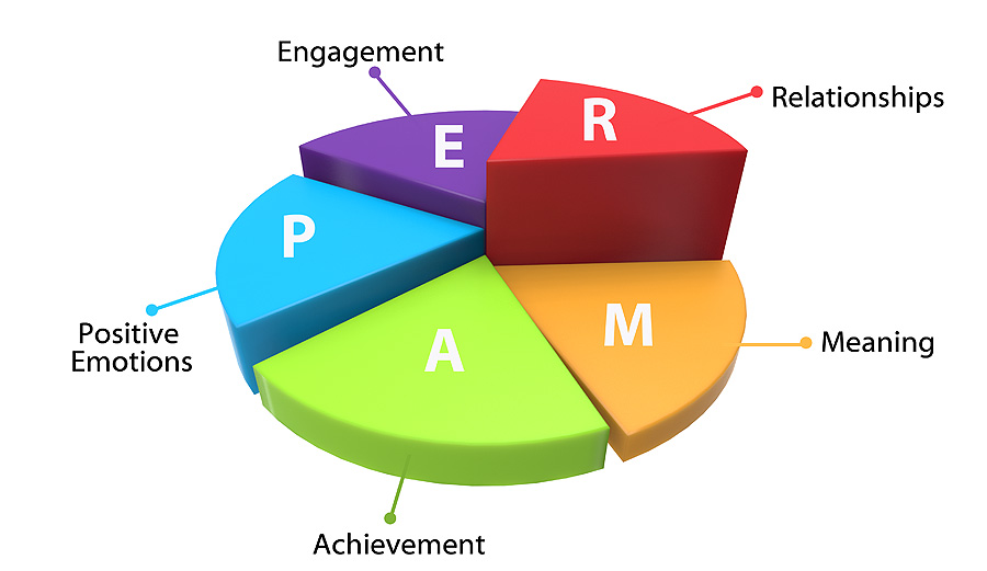 How Martin Seligmans PERMA Model can help mobile phone addiction